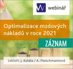 Optimalizace mzdových nákladů v roce 2021 - ZÁZNAM